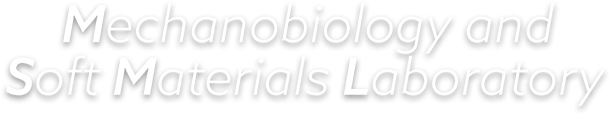 mechanobiology and soft materials laboratory
